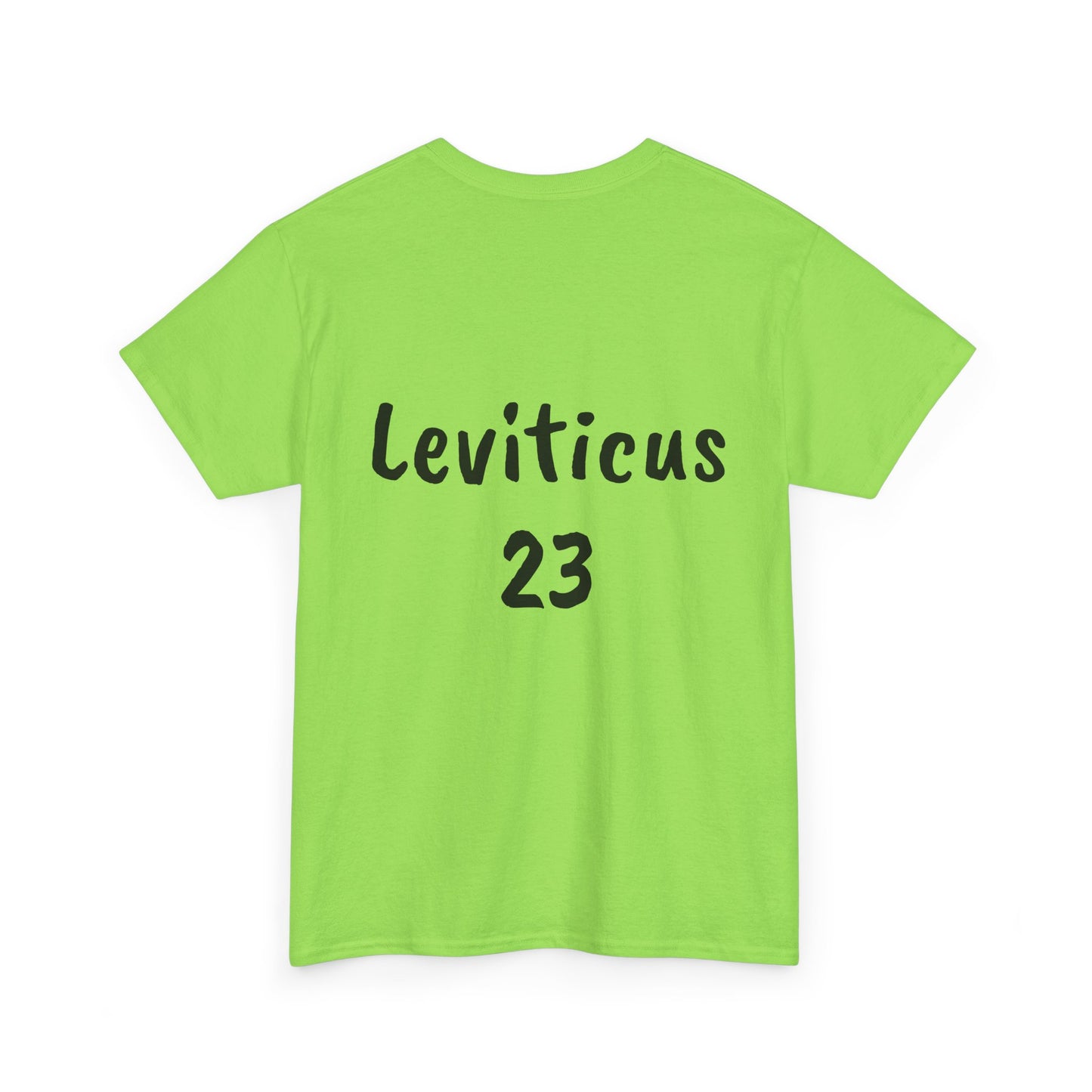 The Biblical Feast Unisex Heavy Cotton Tee