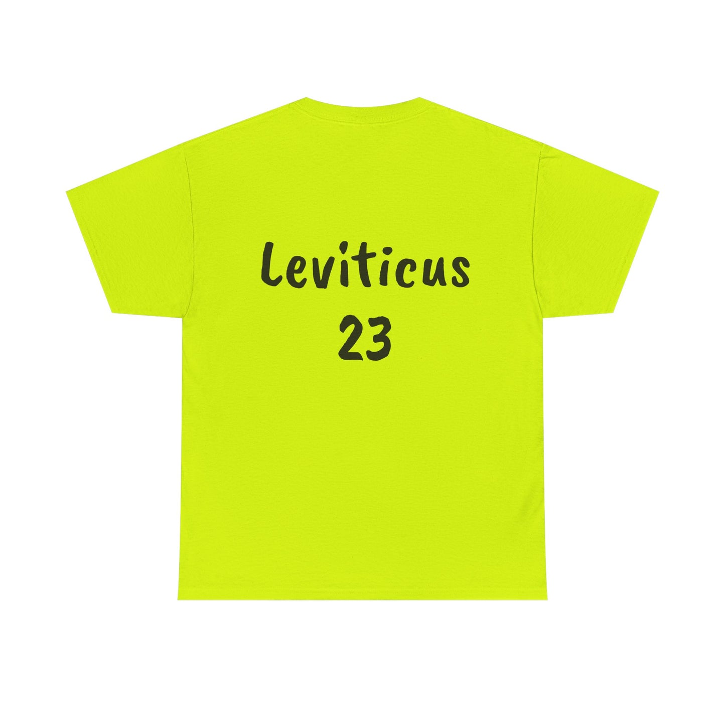 The Biblical Feast Unisex Heavy Cotton Tee