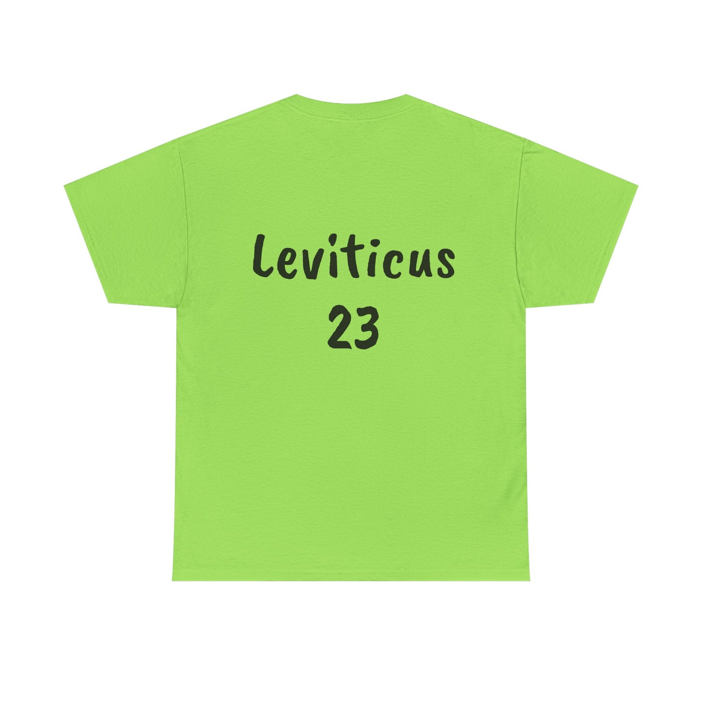 The Biblical Feast Unisex Heavy Cotton Tee