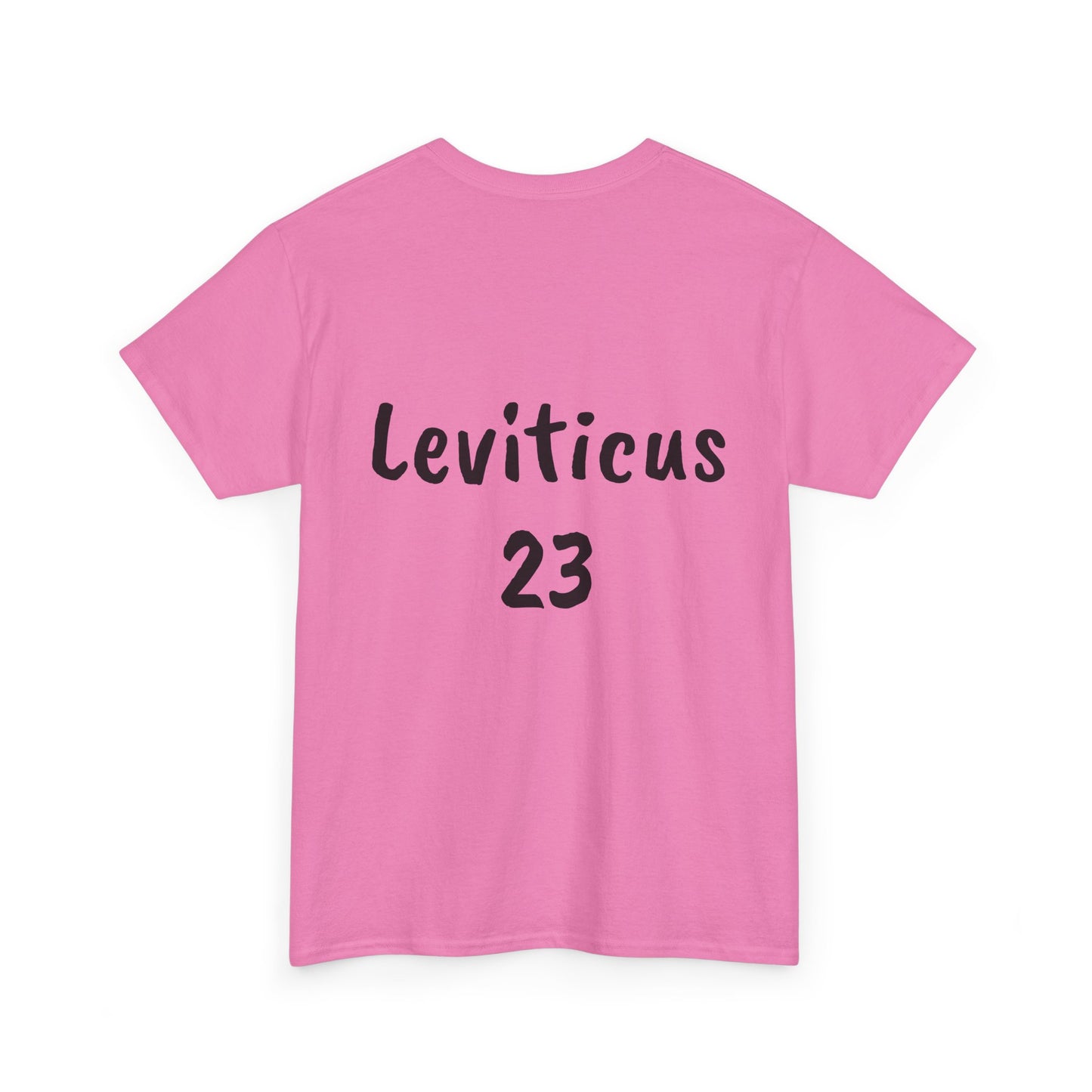 The Biblical Feast Unisex Heavy Cotton Tee