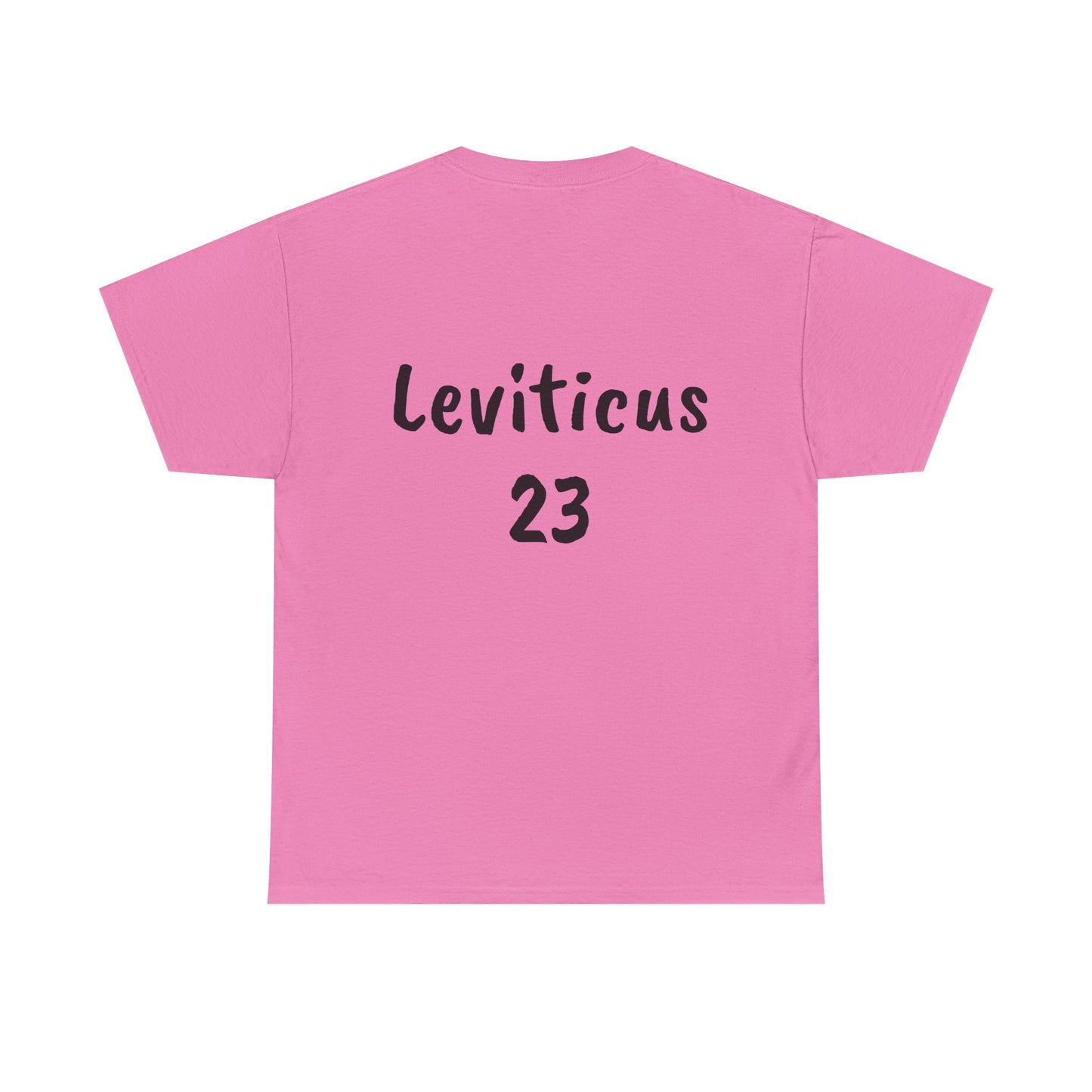 The Biblical Feast Unisex Heavy Cotton Tee