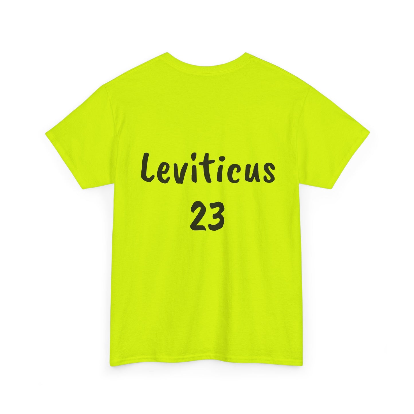 The Biblical Feast Unisex Heavy Cotton Tee
