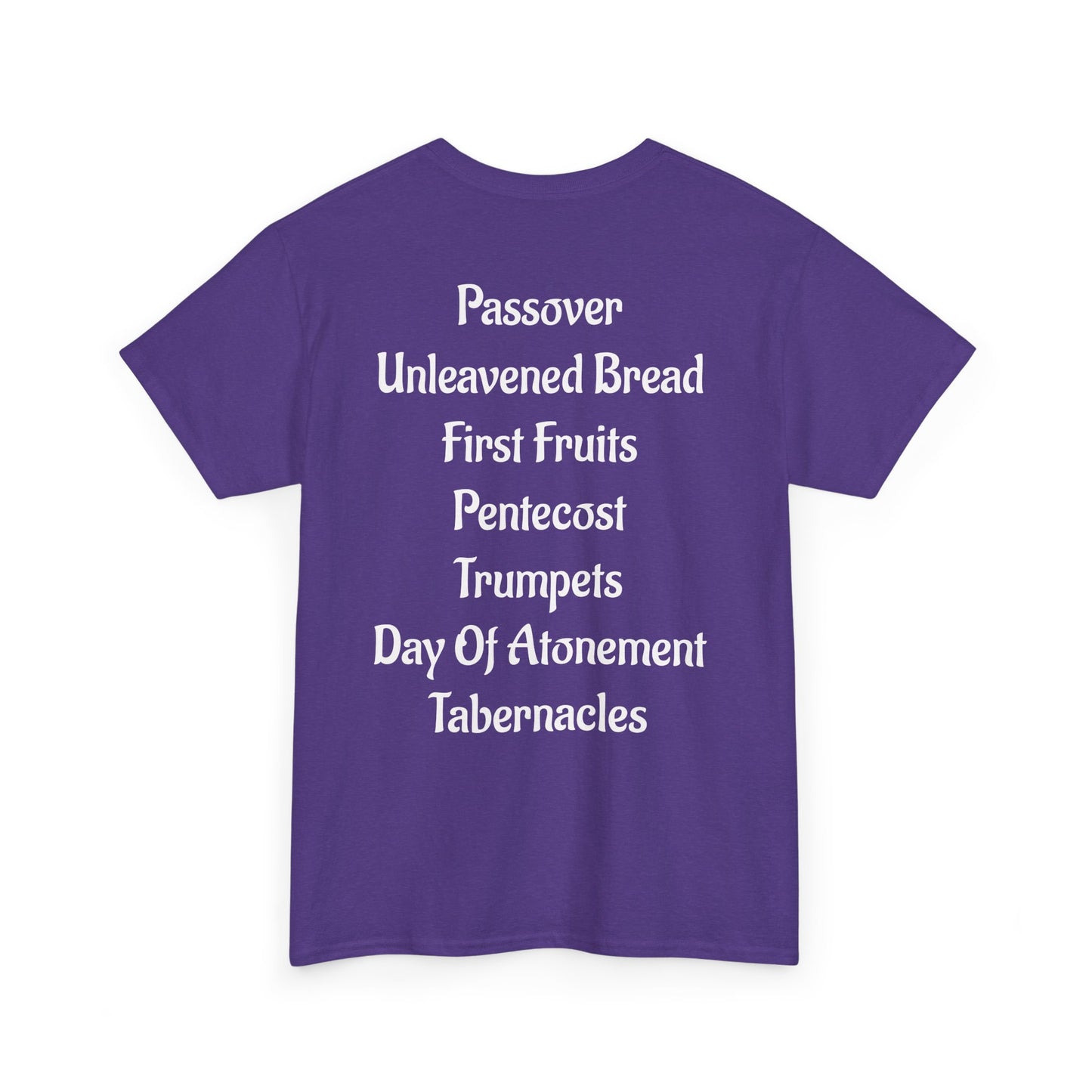 Keep The Biblical Feasts T-shirt