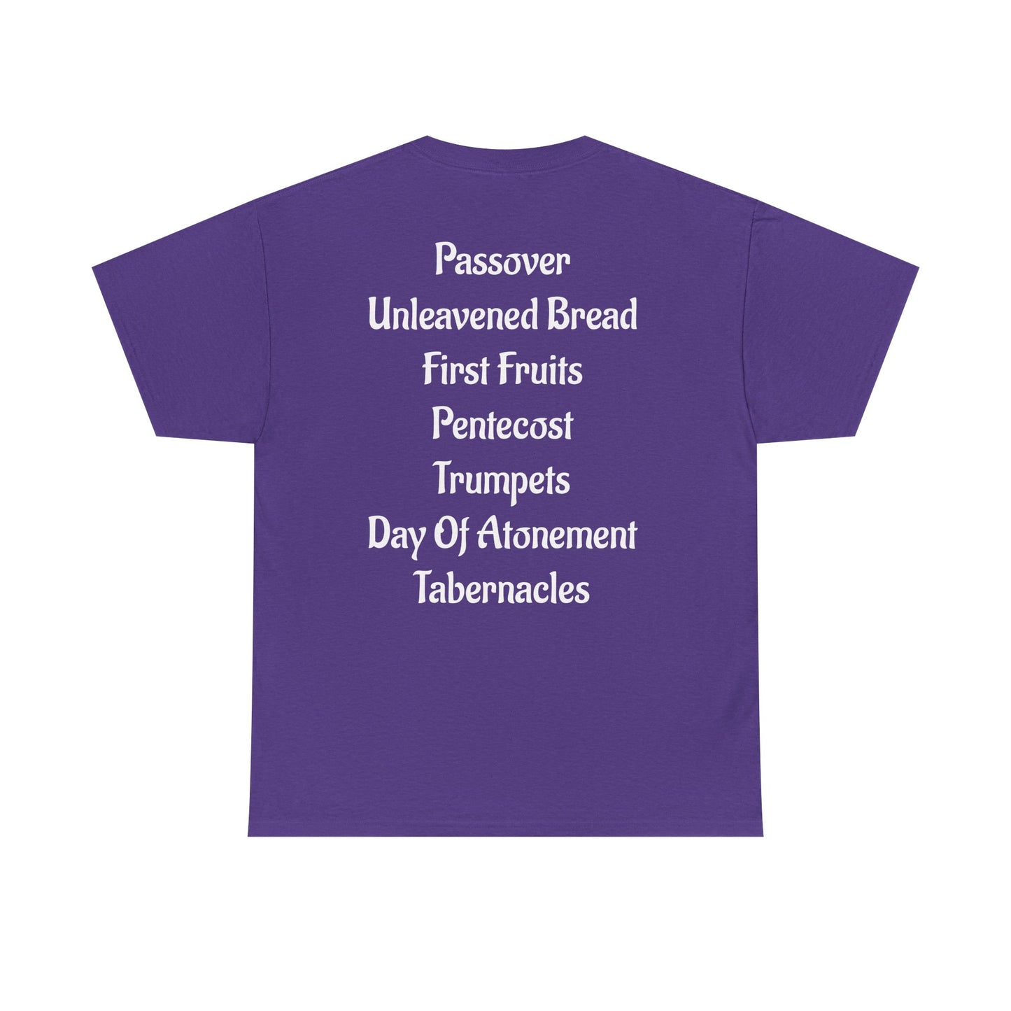 Keep The Biblical Feasts T-shirt